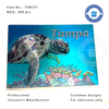 Sea Theme Foil Sticker Magnet with Turtle Design